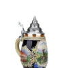 Radtadt Austria Beer Stein 0.25 Liter
